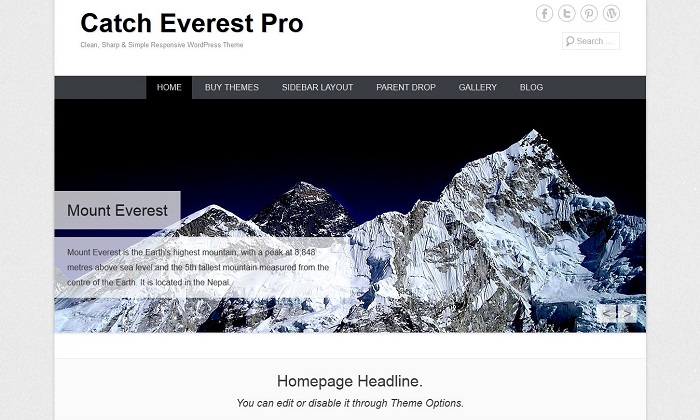 Catch Everest-Wordpress